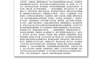 （中央政法委）陈一新在微信工作群中与武汉各区一把手的讲话2.8