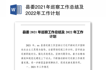 2022年县委巡察工作计划