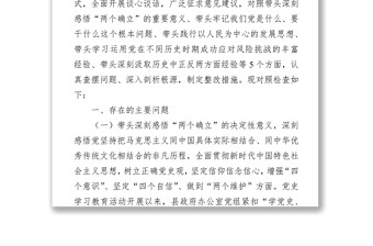 县政府办领导班子学习教育专题民主生活会对照检查材料