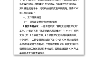 中共X局总支委员会XXX年党建工作总结