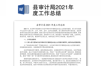 县审计局2021年度工作总结