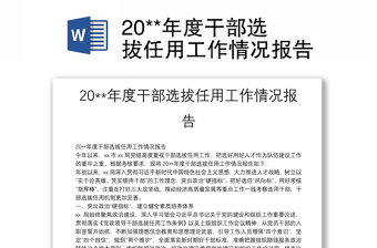 20**年度干部选拔任用工作情况报告