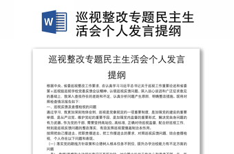 巡视整改专题民主生活会个人发言提纲