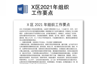 X区2021年组织工作要点