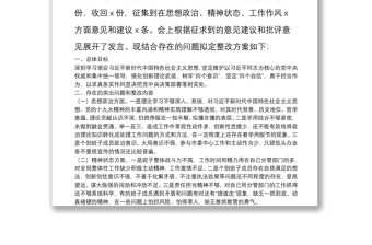 20**年度民主生活会整改方案（市级局党委）