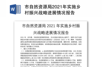 2022自然资源局乡村振兴整改自查报告