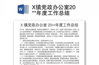 X镇党政办公室20**年度工作总结