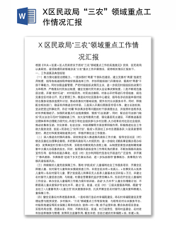 X区民政局“三农”领域重点工作情况汇报
