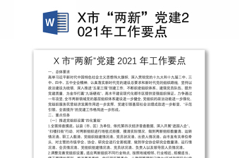 X市“两新”党建2021年工作要点