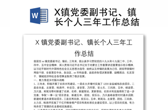 X镇党委副书记、镇长个人三年工作总结