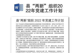 县“两新”组织2022年党建工作计划