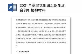 2021年基层党组织组织生活会剖析检视材料