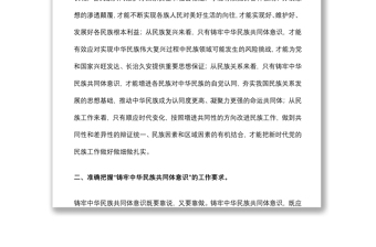 铸牢中华民族共同体意识 创建民族团结进步模范区（研讨材料）