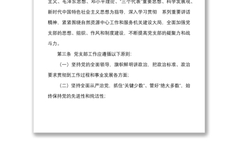 6篇党支部工作规则范文6篇含机关组织部协会大学高校工作细则工作制度