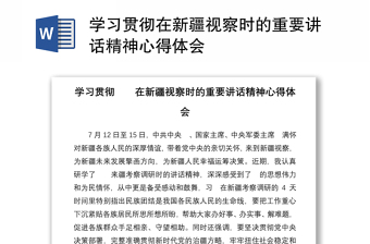 学习贯彻在新疆视察时的重要讲话精神心得体会