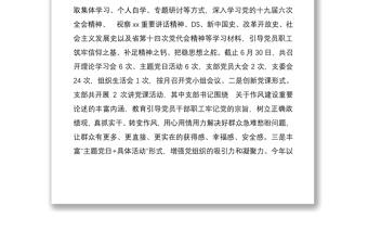 xx高速公路收费所党支部关于2022年上半年全面从严治党暨党建工作情况的报告