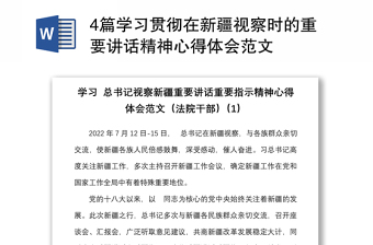 4篇学习贯彻在新疆视察时的重要讲话精神心得体会范文