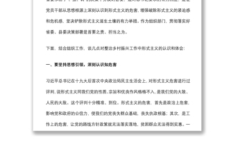 在“严规矩、强监督、转作风”集中整治形式主义专项行动会上的发言