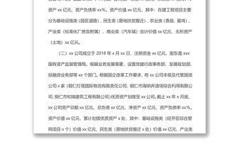 公司实体化改革“一企一策”方案