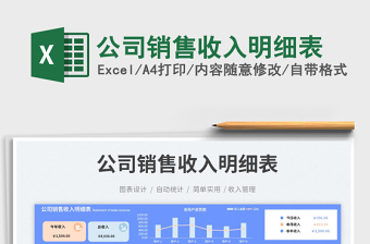 公司销售收入明细表