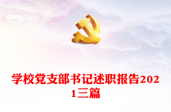 2022对学校各支部书记述职发言进行点评