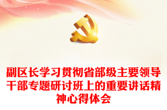 副区长学习贯彻省部级主要领导干部专题研讨班上的重要讲话精神心得体会