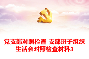 2022党支部对照落实党中央市委区委和上级党组织部署要求方面