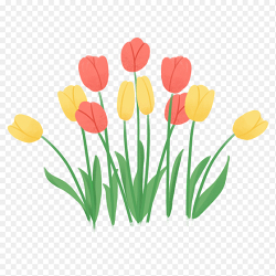 彩色清新春天春季郁金香花朵免抠元素素材