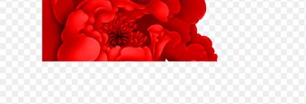 红色花朵边框装饰素材