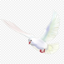 飞翔的白色和平鸽党政免抠元素素材
