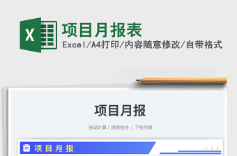 项目月报表免费下载