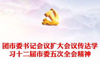 大气创意团市委书记会议传达学习十二届市委五次全会精神PPT课件(讲稿)