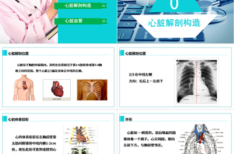 完整内容心脏健康医学解剖研究PPT模板素材下载