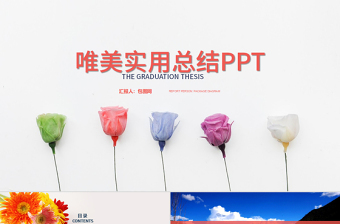 2022小学护苗行动计划ppt