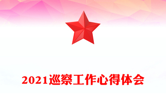 2022粮食企业巡察工作的心得