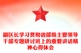 副区长学习贯彻省部级主要领导干部专题研讨班上的重要讲话精神心得体会