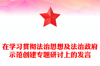 在学习贯彻法治思想及法治政府示范创建专题研讨上的发言