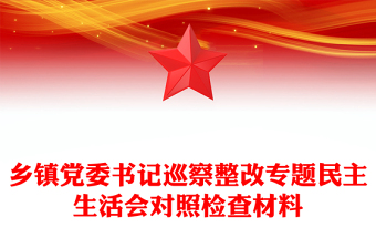 乡镇党委书记巡察整改专题民主生活会对照检查材料