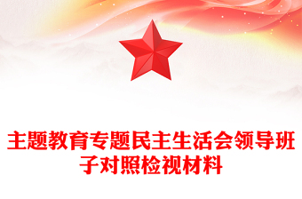 主题教育专题民主生活会领导班子对照检视材料党建PPT模板(讲稿)