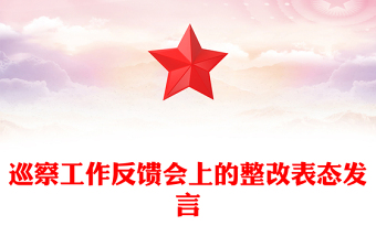 巡察工作反馈会上的整改表态发言