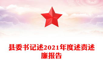 2022年县委书记述法报告