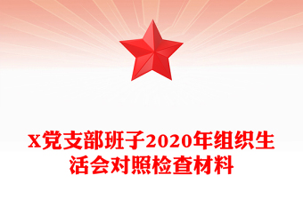 X党支部班子2020年组织生活会对照检查材料