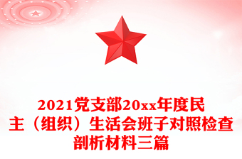 2022支部组织委员对照检查