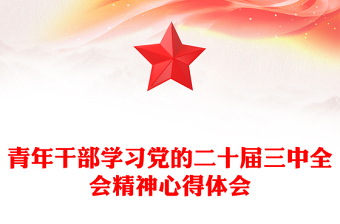 青年干部学习党的二十届三中全会精神心得体会范文