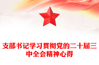 支部书记学习贯彻党的二十届三中全会精神心得范文