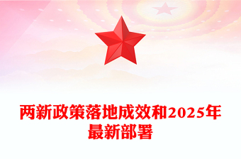 两新政策落地成效和2025年最新部署PPT简洁风扩大内需课件(讲稿)